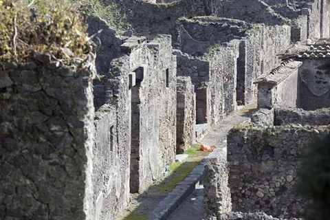 EU hỗ trợ Italy 105 triệu USD để "cứu" khu di tích Pompeii