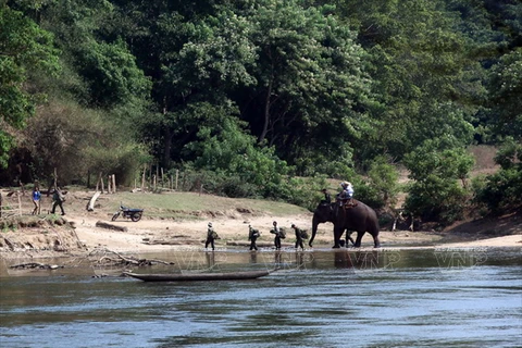 [Photo] Bản Đôn - vùng đất huyền thoại của voi rừng