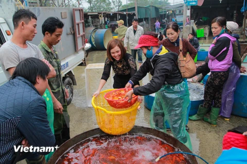 TP Hồ Chí Minh: Chợ truyền thống sôi động ngày ông Công, ông Táo