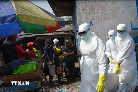 WHO cảnh báo số ca nhiễm Ebola mới tại Tây Phi tăng trở lại