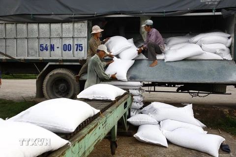 Đã hoàn thành 71% kế hoạch thu mua tạm trữ 1 triệu tấn quy gạo
