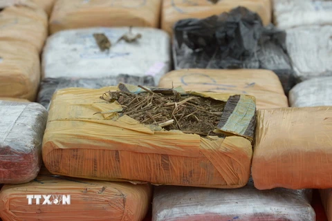 Venezuela tịch thu hơn 8 tấn ma túy các loại trong quý đầu năm