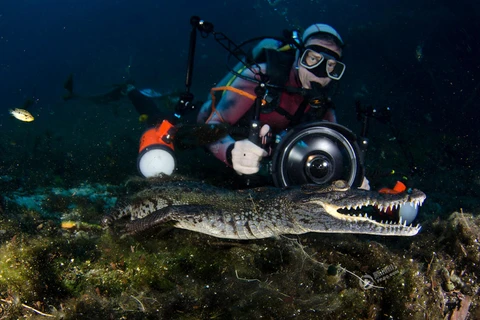 [Photo] Nhiếp ảnh gia nhảy xuống "động cá sấu" để tác nghiệp