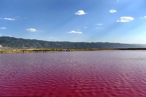 Người dân Vận Thành, tỉnh Sơn Tây, Trung Quốc hào hứng đổ về khu hồ nước mặn lâu đời của thành phố vì dòng nước hồ bỗng đổi sang màu đỏ. (Nguồn: sina)