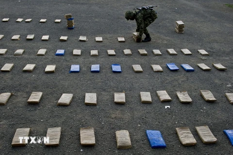 Những gói cần sa từng được nhà chức trách Colombia thu giữ hồi năm 2014. (Nguồn: AFP/TTXVN) 