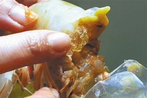 Ngón tay đang chỉ vào miếng thạch gelatin trong con tôm. (Nguồn: QQ)
