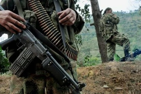 Các tay súng của FARC. (Nguồn: telesurtv.net)