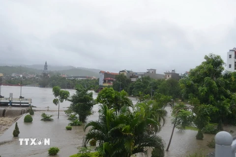 Mưa lớn khiến nước dâng cao ở Quảng Ninh. (Ảnh: Nguyễn Hoàng/TTXVN) 