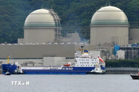 Nhà máy điện hạt nhân Takahama của công ty KEPCO tại tỉnh Fukui ngày 27/6/2013. (Nguồn: Kyodo/TTXVN)