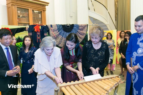 Bạn bè quốc tế và bạn bè Hoa Kỳ rất ấn tượng với các nhạc cụ truyền thống của Việt Nam trưng bày tại Đêm văn hóa 'Sắc màu Việt Nam.' (Ảnh: Lê Dương/Vietnam+)