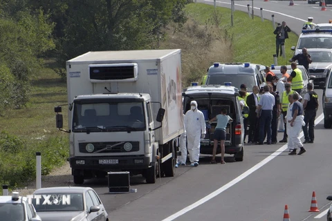 Các điều tra viên tại hiện trường chiếc xe chở người di cư trên quốc lộ A4. (Nguồn: THX/TTXVN)