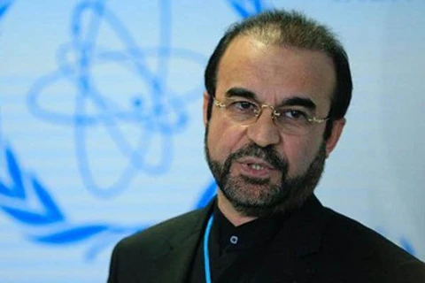 Phái viên của Iran tại Cơ quan Năng lượng Nguyên tử Quốc tế (IAEA) Reza Najafi. (Nguồn: HispanTV)