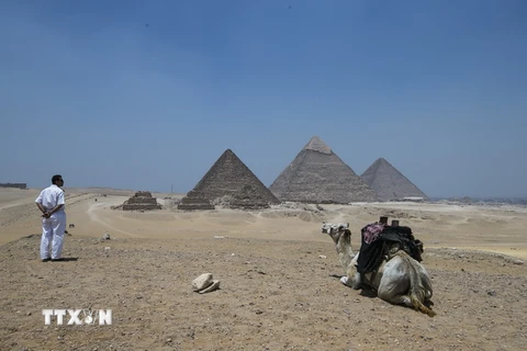 Cảnh sát Ai Cập tuần tra tại khu vực gần Kim tự tháp Giza. (Nguồn: THX/TTXVN)