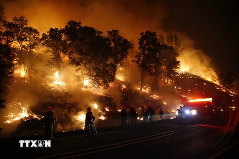 Lực lượng cứu hỏa nỗ lực khống chế các đám cháy rừng ở Valley Fire, California ngày 13/9. (Nguồn: AFP/TTXVN)