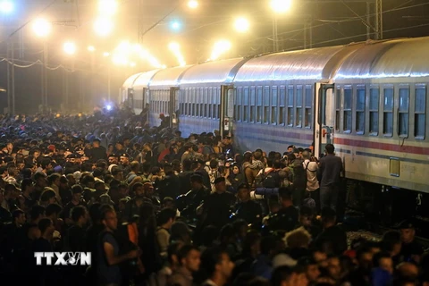 Người di cư tranh nhau lên tàu tại thị trấn Tovarnik, phía đông Croatia, giáp giới Serbia ngày 18/9. (Nguồn: AFP/ TTXVN)