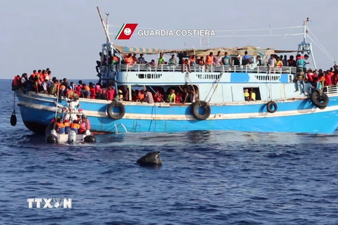 Lực lượng bảo vệ bờ biển Italy cứu vớt những người di cư trên biển Địa Trung Hải ngày 23/8. (Nguồn: AFP/TTXVN)