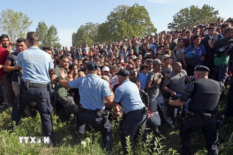 Người di cư phá vỡ rào chắn của cảnh sát để tràn vào thành phố Tovarnik, Croatia, gần biên giới Serbia ngày 17/9. (Nguồn: AFP/TTXVN)