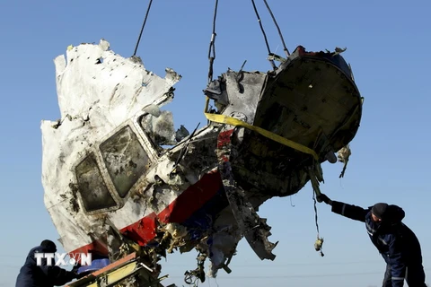 Một phần xác máy bay MH17 ở làng Grabovo, cách Donetsk, Ukraine khoảng 80km về phía Đông ngày 20/11/2014. (Nguồn: Reuters​/TTXVN)