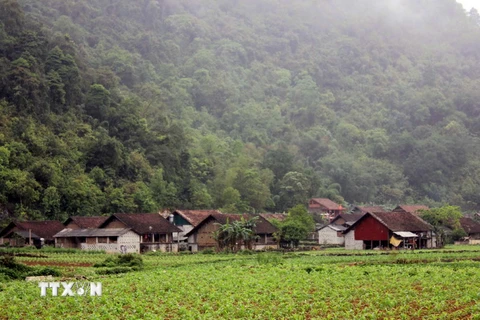 Quang cảnh làng du lịch cộng đồng Pắc Rằng ở Cao Bằng. (Ảnh: Quân Trang/TTXVN)