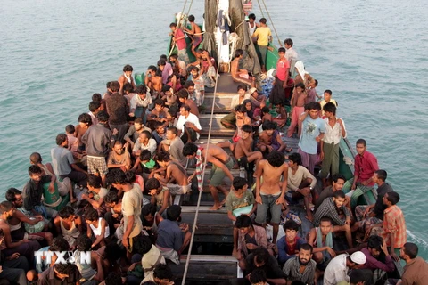 Người di cư được đưa vào bờ biển gần thành phố Geulumpang, tỉnh Aceh, Indonesia sau khi được cứu. (Nguồn: AFP/TTXVN)