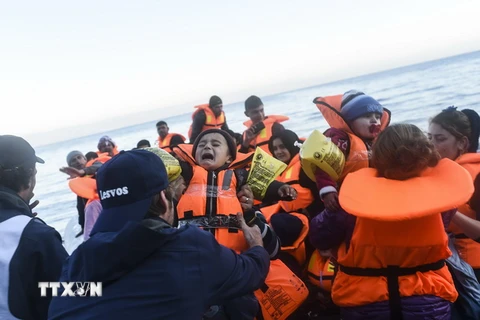 Người di cư tới đảo Lesbos, Hy Lạp sau hành trình vượt biển Aegean từ Thổ Nhĩ Kỳ ngày 14/11.(Nguồn: AFP/TTXVN)