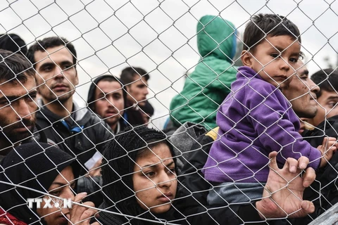 Người tị nạn và di cư đợi để qua biên giới Hy lạp-Macedonia ngày 4/12. (Nguồn: AFP/TTXVN)