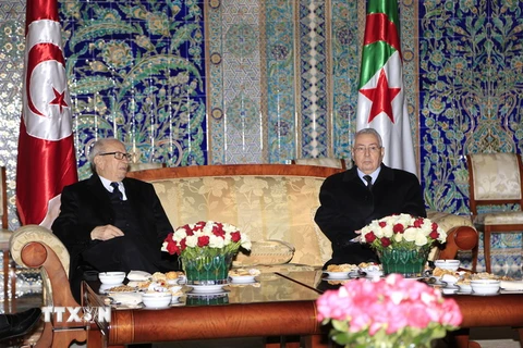 Chủ tịch Thượng viện Algeria Abdelkader Bensalah (phải) tiếp Tổng thống Tunisia Beji Caid Essebsi tại thủ đô Algiers ngày 4/2/2015. (Nguồn: THX/TTXVN)