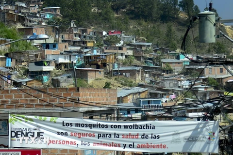 Băngrôn phát động chiến dịch ngăn chặn sự lây lan của virus Zika tại khu vực Bello, Antioquia, Colombia ngày 26/1. (Nguồn: AFP/TTXVN)