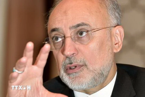 Giám đốc Cơ quan Năng lượng Nguyên tử Iran Ali Akbar Salehi. (Nguồn: Kyodo/TTXVN)