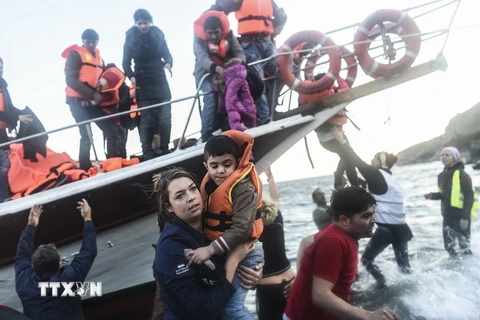 Người di cư tới đảo Lesbos của Hy Lạp sau hành trình vượt biển Aegean từ Thổ Nhĩ Kỳ ngày 15/11/2015. (Nguồn: AFP/TTXVN)