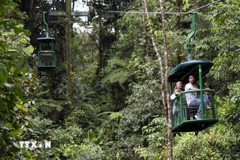 Rừng nhiệt đới thuộc Công viên quốc gia Braulio Carrillo, Costa Rica. (Nguồn: THX/TTXVN)