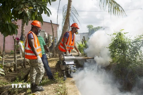Quân đội Cộng hòa Dominica phun thuốc chống muỗi tại Santo Domingo sau khi nước này xác nhận có đã có 10 ca nhiễm Zika trong thời gian qua. (Nguồn: AFP/TTXVN)