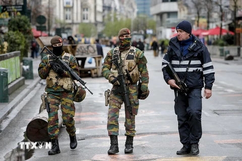 Binh sỹ và cảnh sát Bỉ tuần tra trên đường phố trung tâm thủ đô Brussels ngày 22/11/2015. (Nguồn: THX/TTXVN)