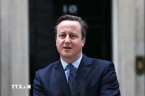 Thủ tướng Anh David Cameron phát biểu trước báo giới sau cuộc họp nội các ngày 20/2. (Nguồn: AFP/TTXVN)