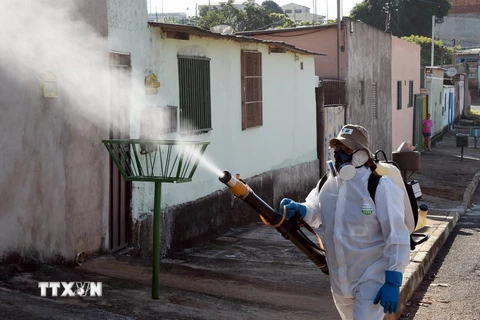 Nhân viên y tế Brazil phun thuốc khử trùng nhằm ngăn chặn sự lây lan của virus Zika tại Gama ngày 17/2. (Nguồn; AFP/TTXVN)