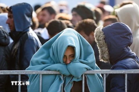 Người di cư và tị nạn tại biên giới Slovenia-Áo ngày 31/10/2015. (Nguồn: AFP/TTXVN)