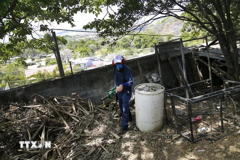 Nhân viên y tế Costa Rica tiến hành phun thuốc và kiểm tra các điểm chứa nước tại thành phố Santa Ana, tỉnh San Jose ngày 23/2. (Nguồn: THX/TTXVN)