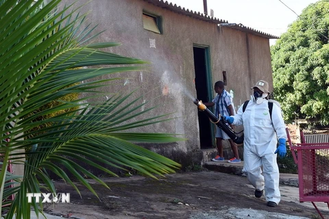 Phun thuốc diệt muỗi phòng tránh lây nhiễm virus zika tại Gama, Brazil. (Nguồn: AFP/TTXVN)