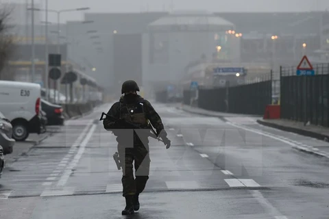Lực lượng an ninh Bỉ gác bên ngoài sân bay Zaventem, một ngày sau vụ đánh bom, ngày 23/3. (Nguồn: AFP/TTXVN)