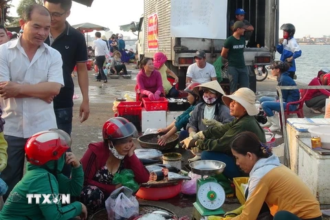 Người dân mua cá đã được kiểm định tại chợ Đồng Hới (thành phố Đồng Hới, Quảng Bình). (Ảnh: Đức Thọ/TTXVN)