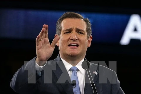 Thượng nghị sỹ bang Texas Ted Cruz. (Nguồn: AFP/TTXVN)