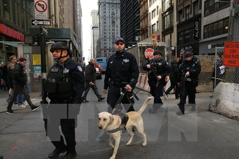 Cảnh sát Mỹ tuần tra trên các đường phố ở Manhattan, New York. (Nguồn: AFP/TTXVN)