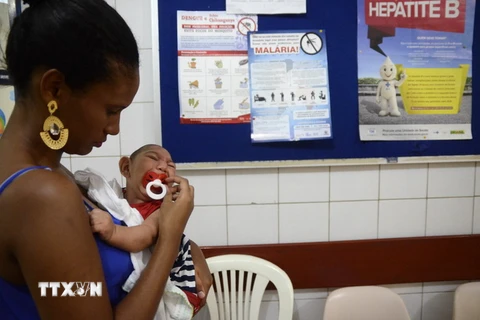 Một trẻ nhỏ bị mắc bệnh teo não do virus Zika gần Recife, thủ phủ Pernambuco, miền Đông Bắc Brazil. (Nguồn: THX/TTXVN)