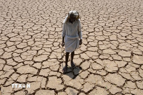 Một cánh đồng khô kiệt ở Chandampet Mandal, Nalgonda thuộc bang Telangana, miền Nam Ấn Độ. (Nguồn: AFP/TTXVN)