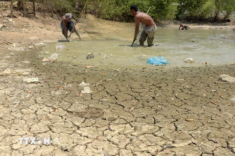 Một hồ cạn khô nước do hạn hán và nắng nóng kéo dài tại tỉnh Kandal, Campuchia ngày 27/4. (Nguồn: AFP/TTXVN)