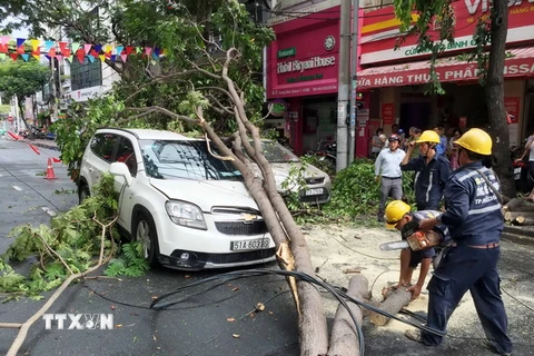 Nhân viên Công ty Cây xanh Thành phố Hồ Chí Minh xử lý những cành cây bị gãy đổ. (Ảnh: Mạnh Linh/TTXVN)