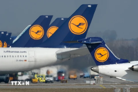 Máy bay của Hãng Lufthansa đỗ tại sân bay Franz-Josef-Strauss ở Munich. (Nguồn: AFP/TTXVN)