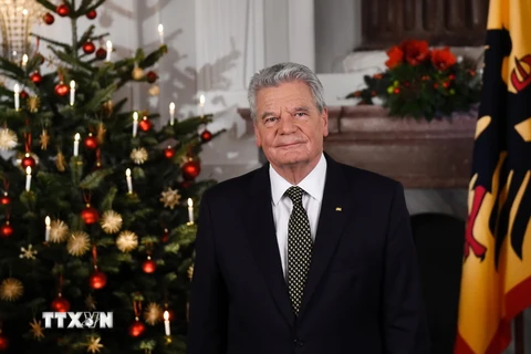 Tổng thống Đức Joachim Gauck. (Nguồn: AFP/TTXVN)