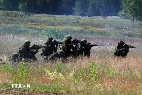 Binh sỹ tham gia cuộc tập trận tại căn cứ quân sự Rukla ở Litva ngày 17/6/2014. (Nguồn: THX/TTXVN)