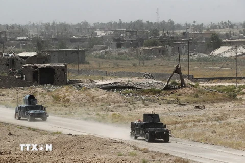 Các lực lượng Chính phủ Iraq tuần tra tại Shuhada, khu vực ngoại ô Fallujah ngày 10/6. (Nguồn: AFP/TTXVN)